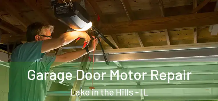  Garage Door Motor Repair Lake in the Hills - IL