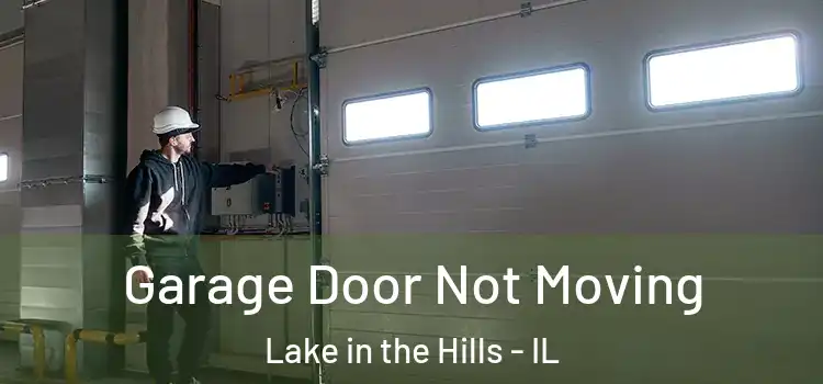  Garage Door Not Moving Lake in the Hills - IL