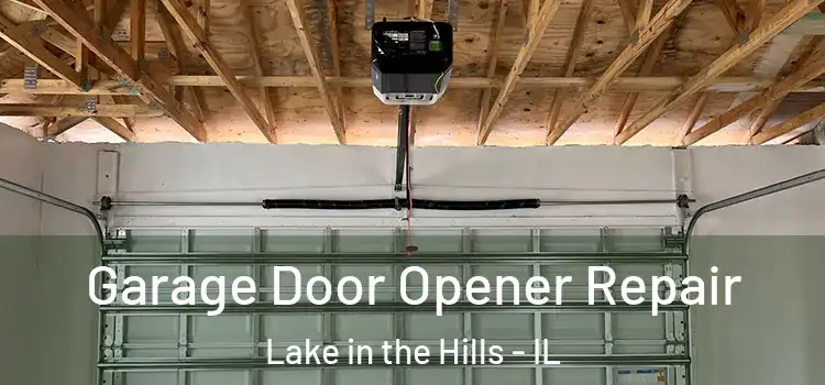  Garage Door Opener Repair Lake in the Hills - IL