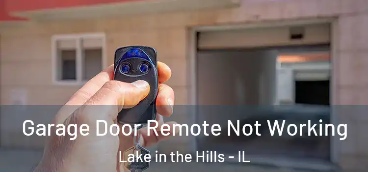  Garage Door Remote Not Working Lake in the Hills - IL