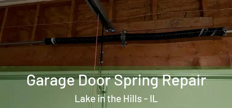  Garage Door Spring Repair Lake in the Hills - IL