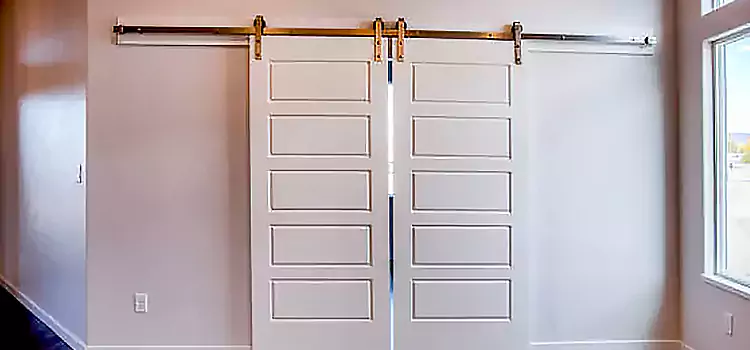 Glass Barn Door with Installation Hardware Kit Lake in the Hills