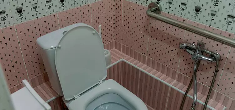 Meeting Diverse Needs With Accessible Restroom Solutions in Lake in the Hills, IL