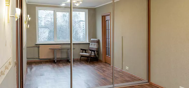 Mirror Closet Door Roller Replacement Lake in the Hills