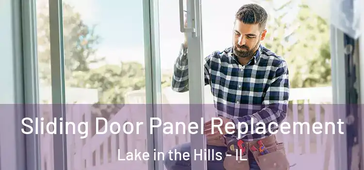  Sliding Door Panel Replacement Lake in the Hills - IL
